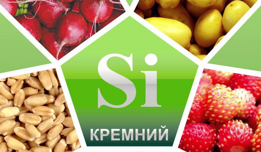 Кремний для организма