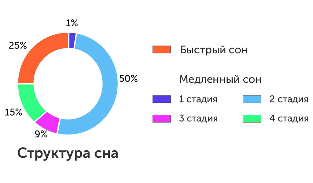 Циркадные ритмы