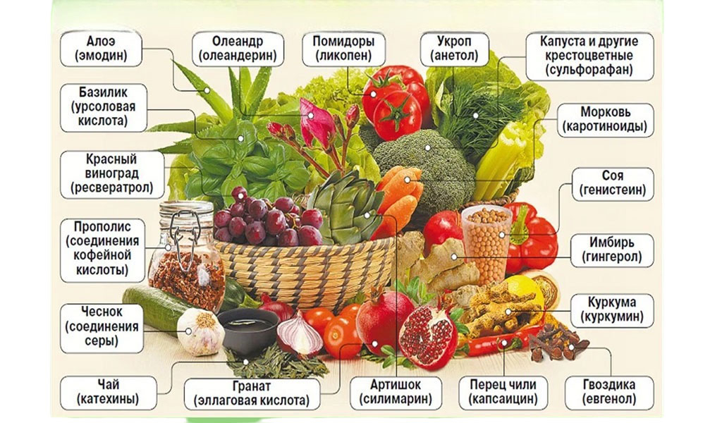 Что такое витамины