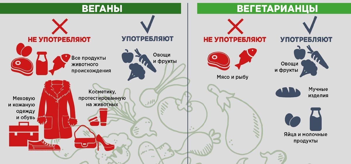 Чем отличается веган от вегетарианца